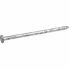Hillman Common Nail, 3/8 in L, 12D, Steel, Hot Dipped Galvanized Finish 461476